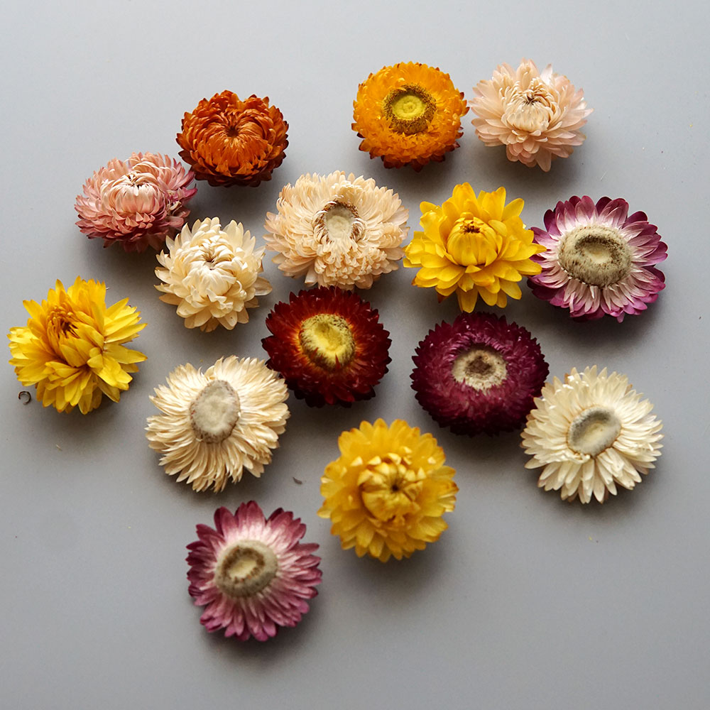 Natural Dried Colorful Chrysan - огляд і ціна Baby Products 1 Year