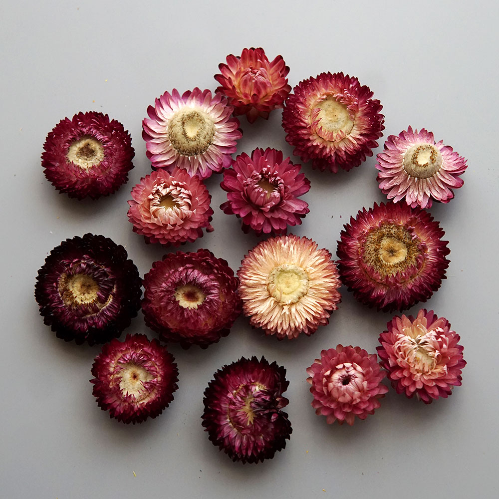 Natural Dried Colorful Chrysan - огляд і ціна Baby Products 1 Year